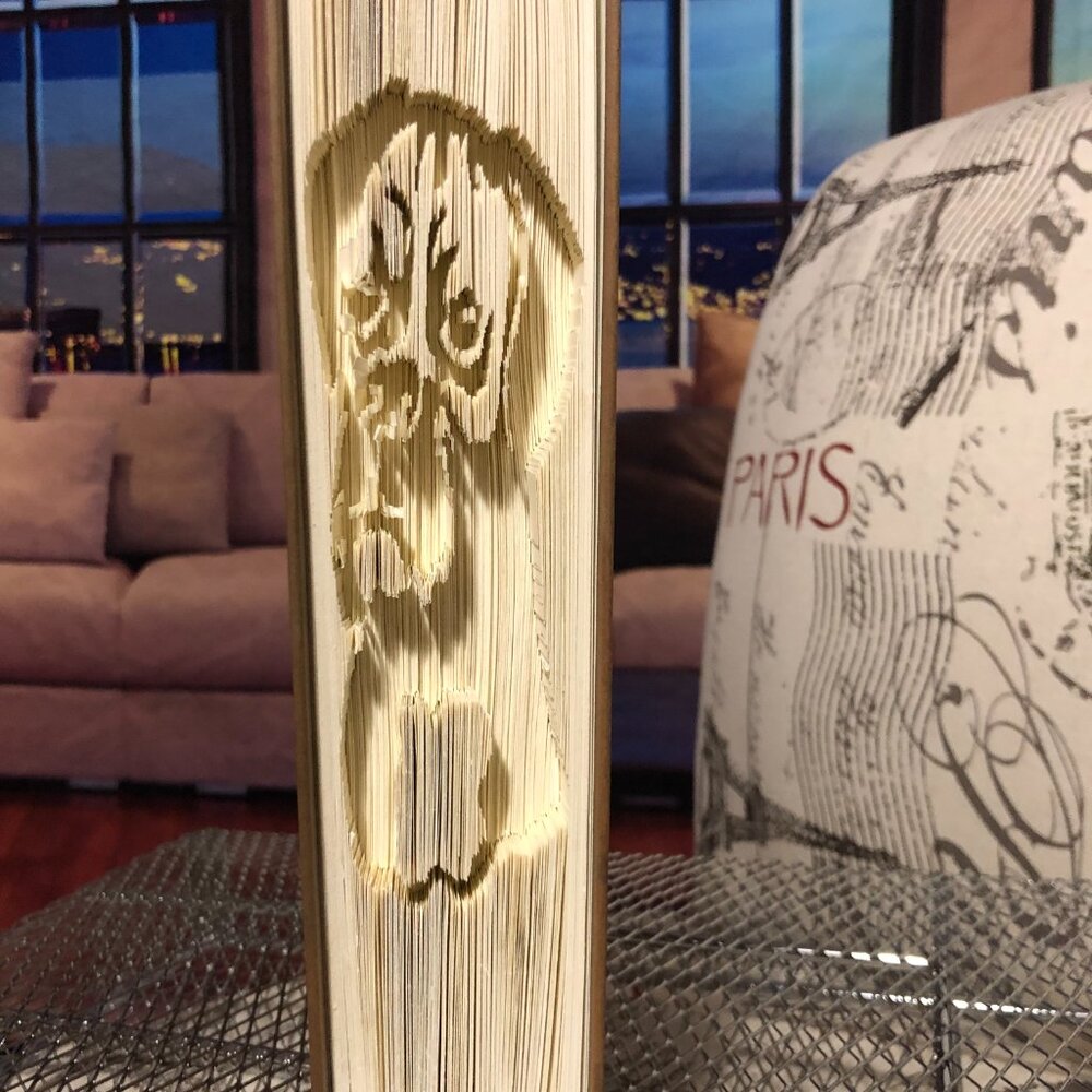 Unique Handcrafted Folded/Cut Book Art - A True Conversation Piece! Boxer Life